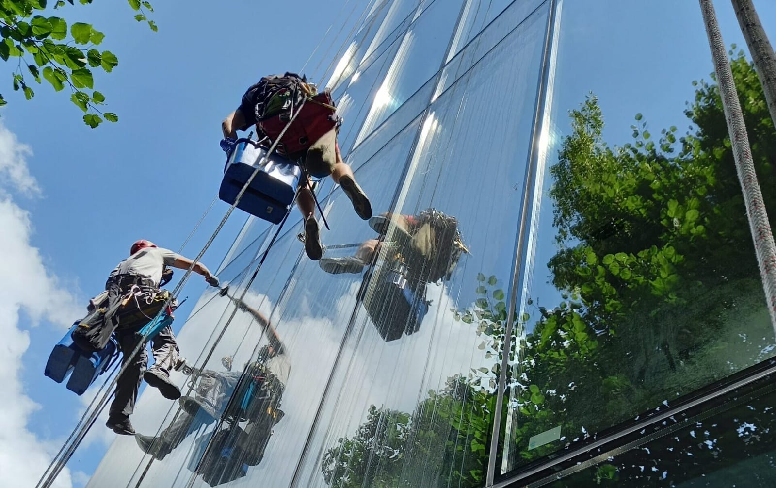 Doi alpiniști utilitari spălând o fațadă de sticlă